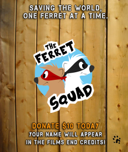 Donate to The Ferret Squad today!