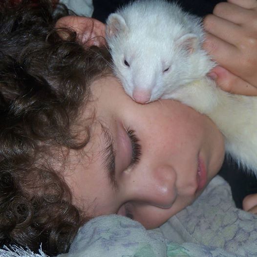 My seven year old son taking a nap with Beelzebub. He was never once scratched or bitten by B.B., and it was quite common to find them napping together. 